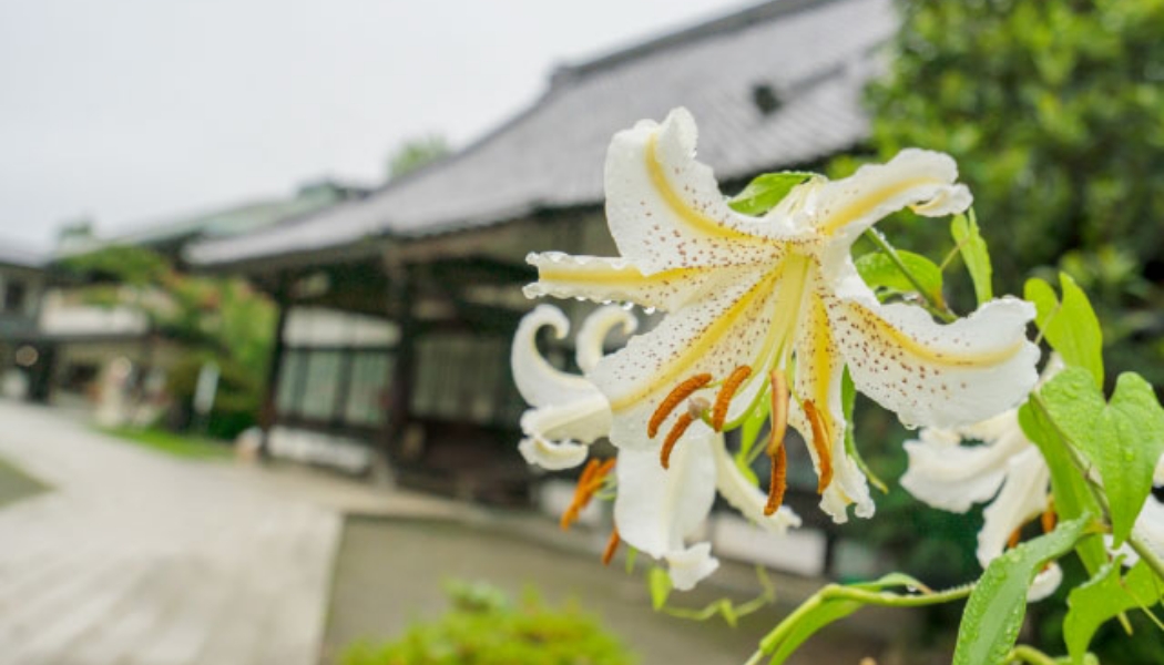 point02/菩提寺のご確認