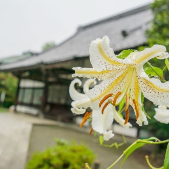 point02/菩提寺のご確認